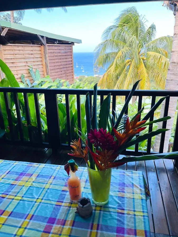 Hébergement de vacances Gîtes Les Lodges des Hauts de Deshaies Bungalow Tobago