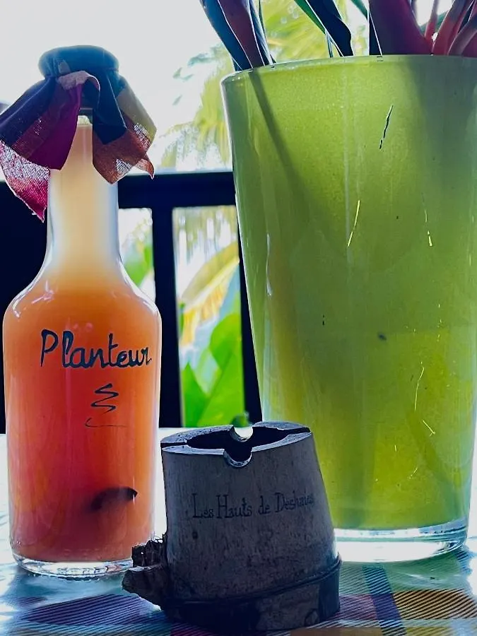 Hébergement de vacances Gîtes Les Lodges des Hauts de Deshaies Bungalow Tobago Guadeloupe